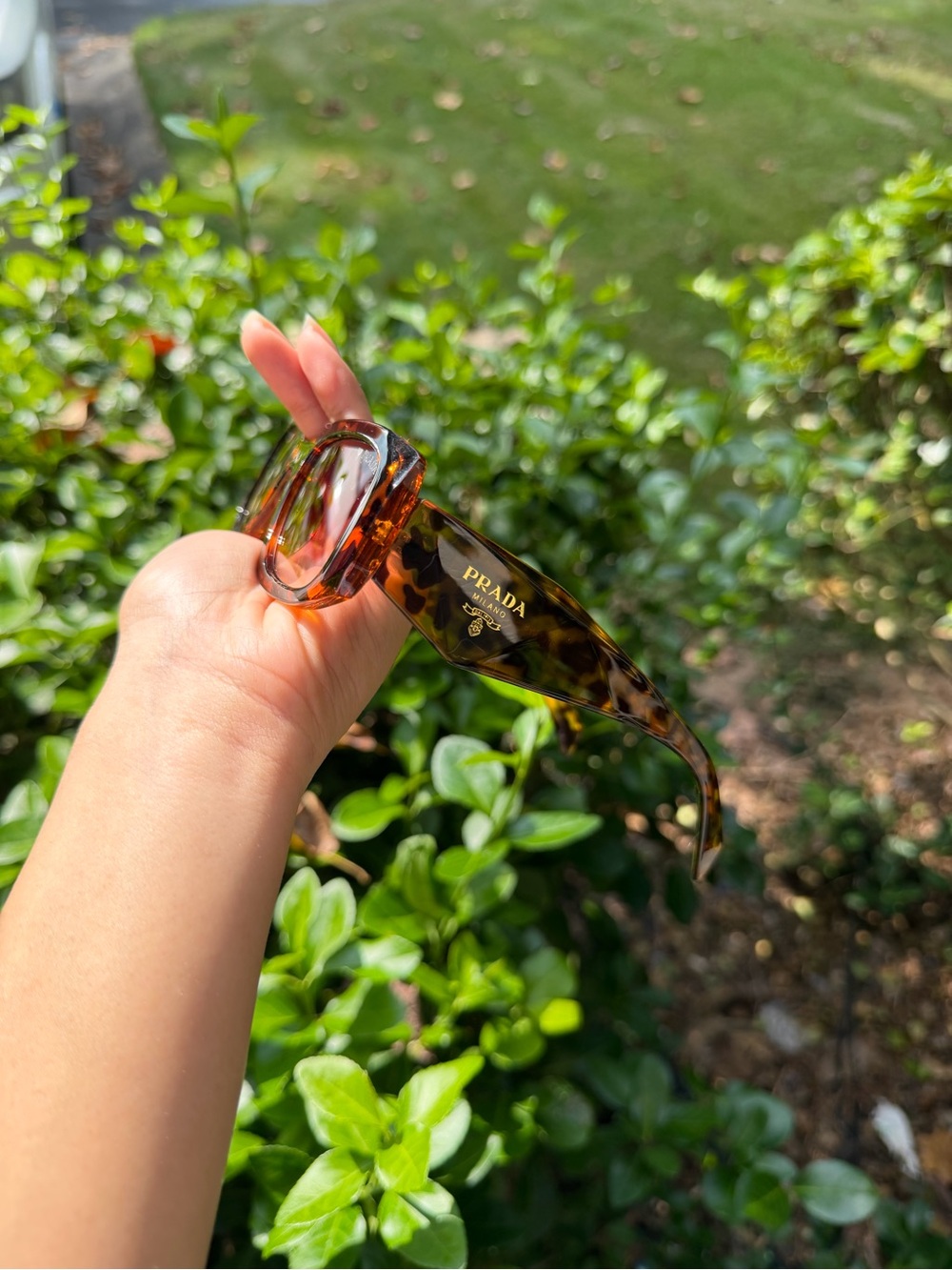 Prada Tortoiseshell Sunglass Arm in Amber Brown